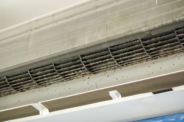 Best Commercial Air Duct Cleaning in Royalton, MN